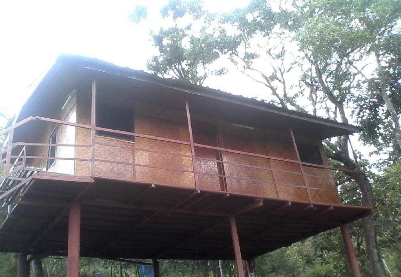 Punarjani Ayurvedic Resorts Ramakkalmedu Luaran gambar