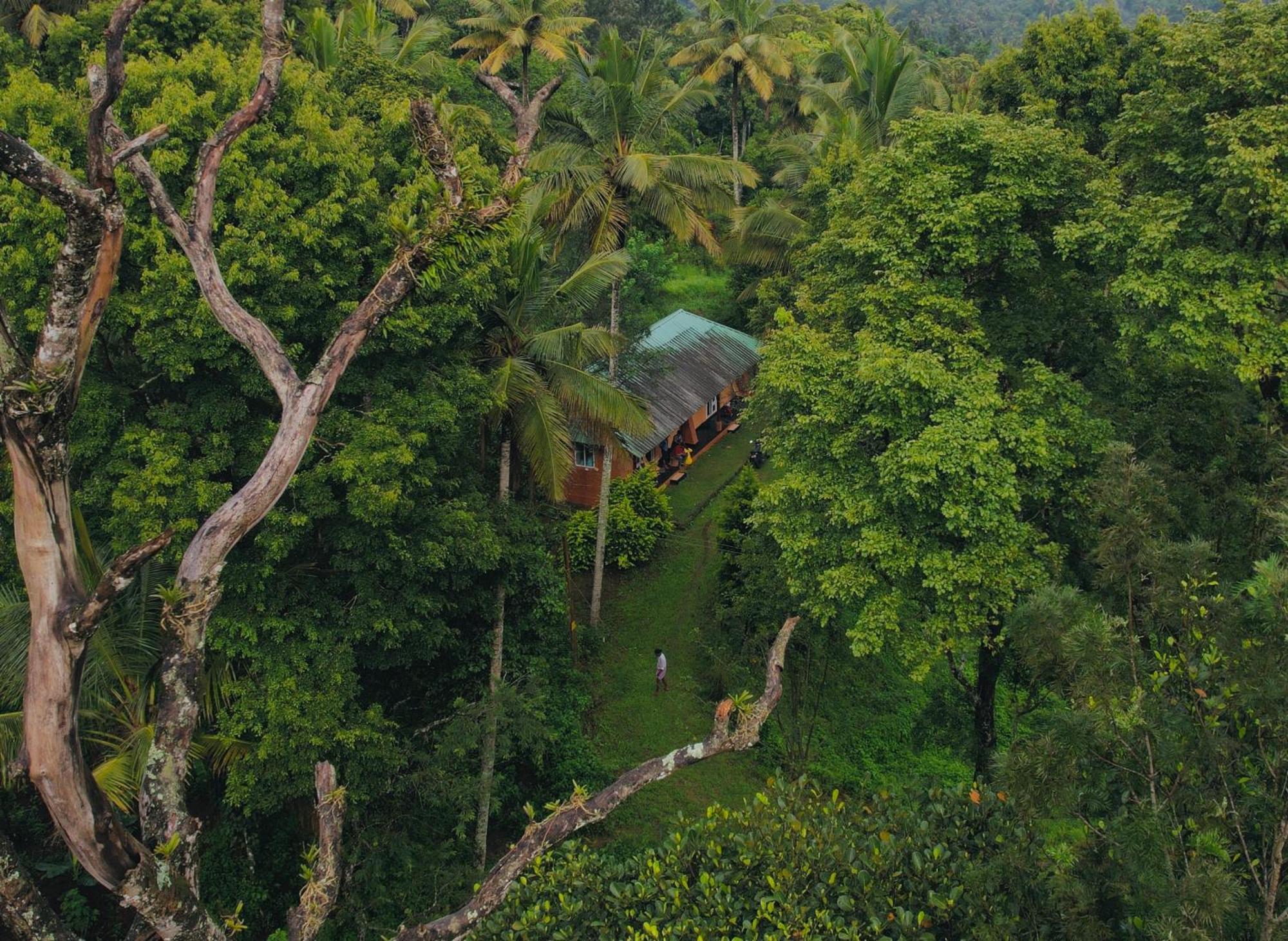 Punarjani Ayurvedic Resorts Ramakkalmedu Luaran gambar