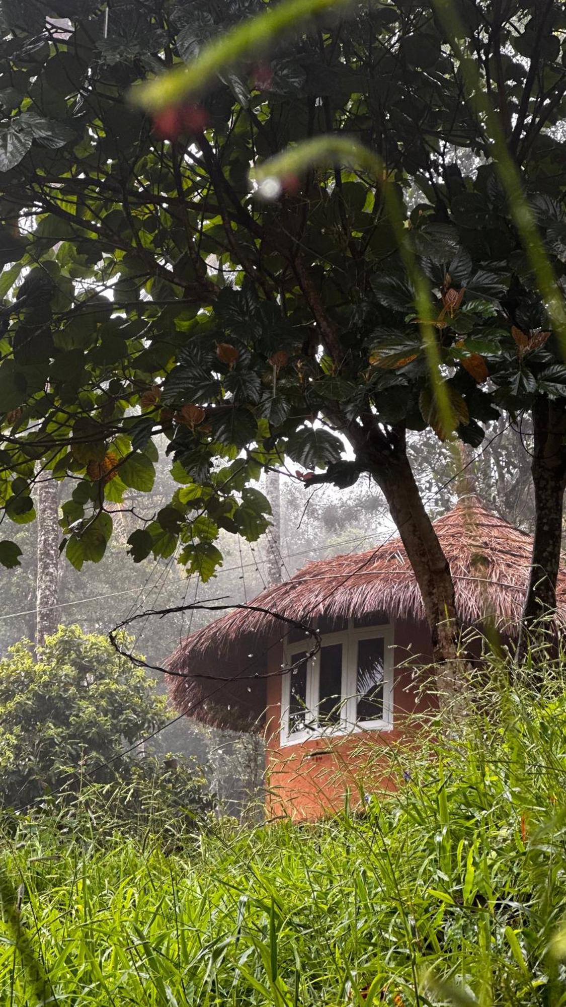 Punarjani Ayurvedic Resorts Ramakkalmedu Luaran gambar